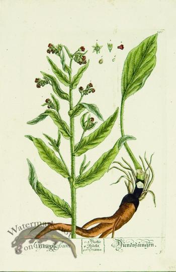 Blackwell German 151